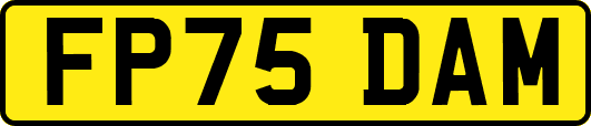 FP75DAM