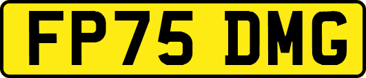 FP75DMG