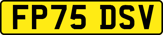 FP75DSV