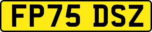FP75DSZ