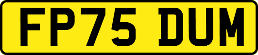 FP75DUM