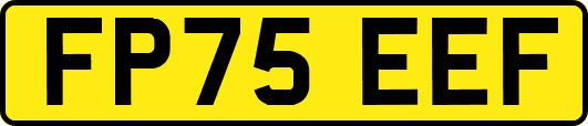 FP75EEF