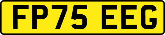 FP75EEG