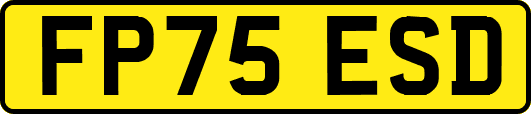 FP75ESD