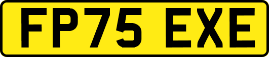 FP75EXE