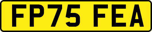 FP75FEA