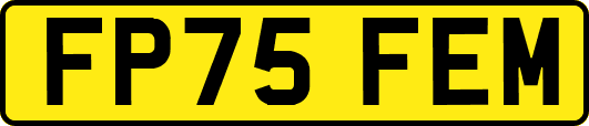 FP75FEM