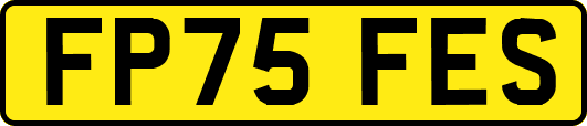 FP75FES