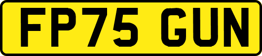 FP75GUN