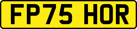 FP75HOR