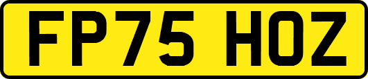 FP75HOZ
