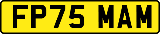 FP75MAM