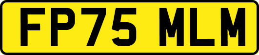 FP75MLM