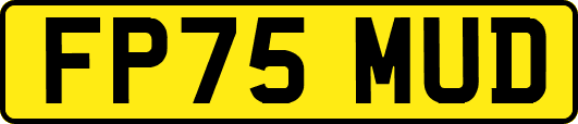 FP75MUD