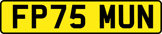 FP75MUN