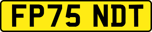 FP75NDT