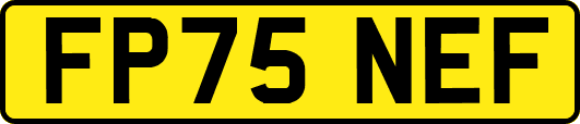 FP75NEF