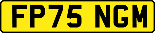 FP75NGM
