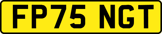 FP75NGT