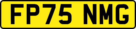 FP75NMG