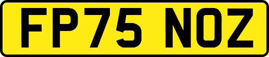 FP75NOZ