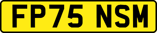 FP75NSM