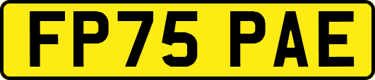 FP75PAE