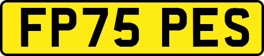 FP75PES
