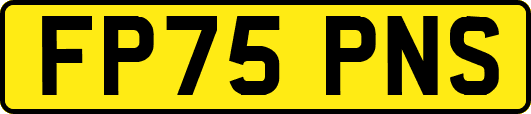 FP75PNS