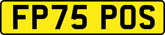 FP75POS