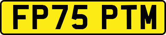FP75PTM