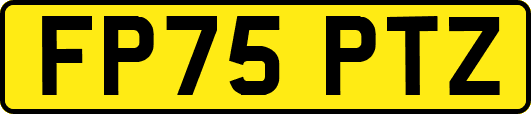 FP75PTZ