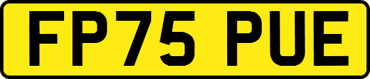 FP75PUE
