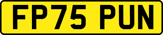 FP75PUN