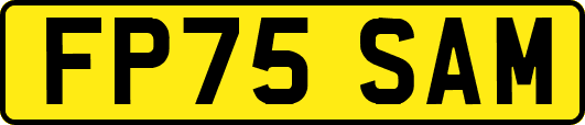 FP75SAM