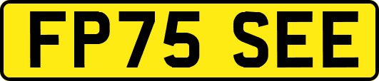 FP75SEE