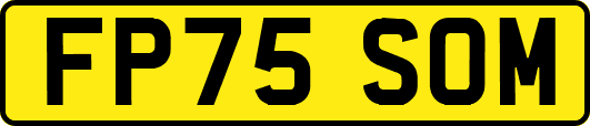 FP75SOM