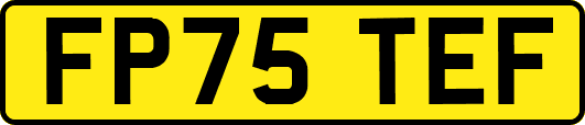FP75TEF