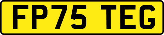 FP75TEG