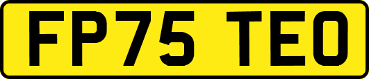 FP75TEO