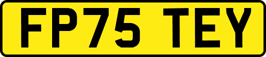 FP75TEY