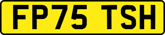 FP75TSH