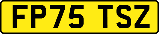 FP75TSZ