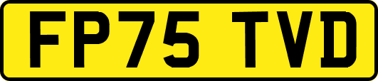 FP75TVD