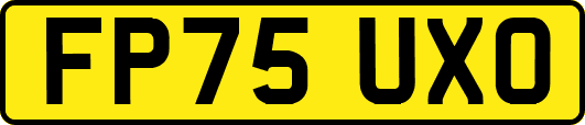 FP75UXO