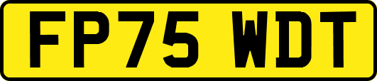 FP75WDT
