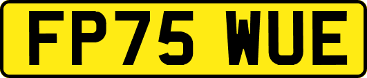FP75WUE