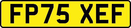 FP75XEF