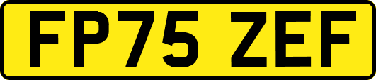 FP75ZEF
