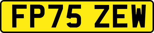 FP75ZEW